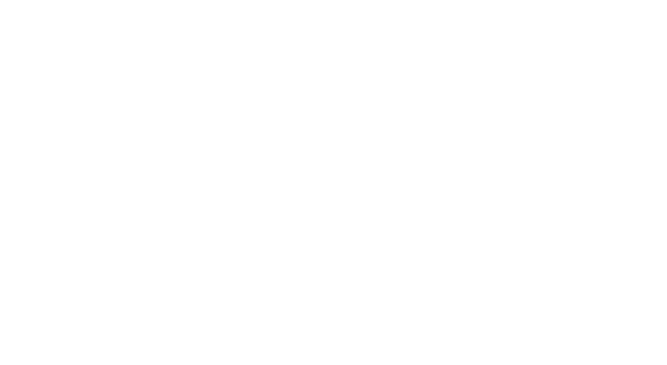 Accel Vision